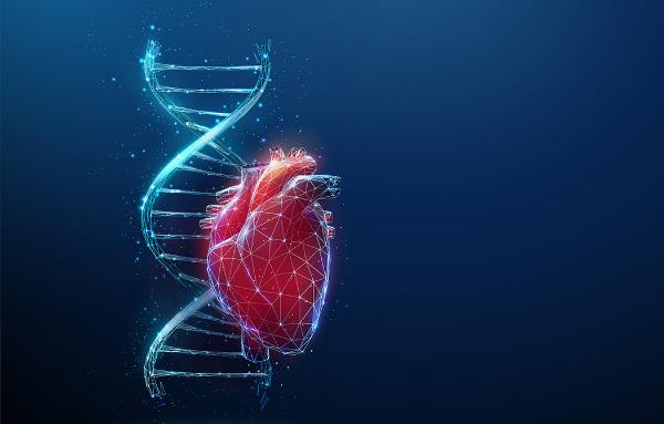 Illustration of heart in front of double helix, courtesy Getty Images.