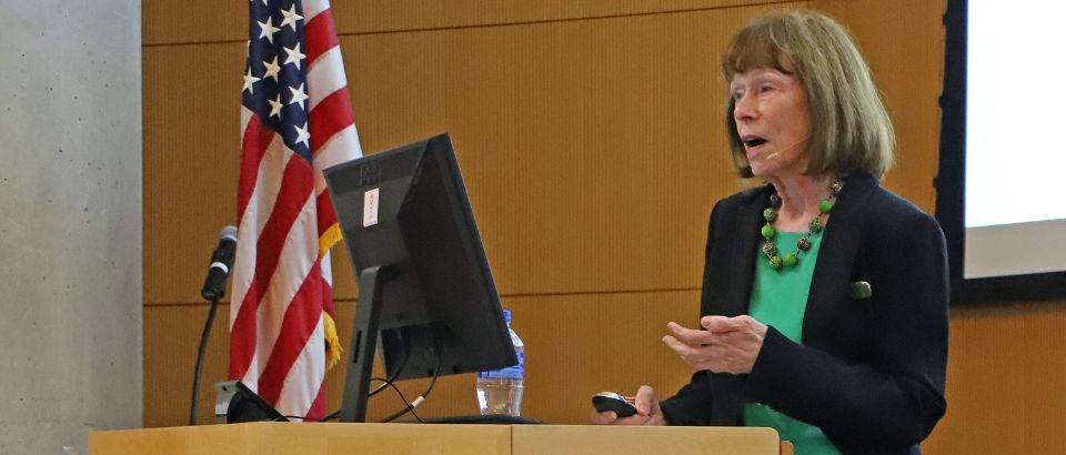 Seeds of nursing research image