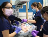 BSN nurses learn neonatal resuscitation skills
