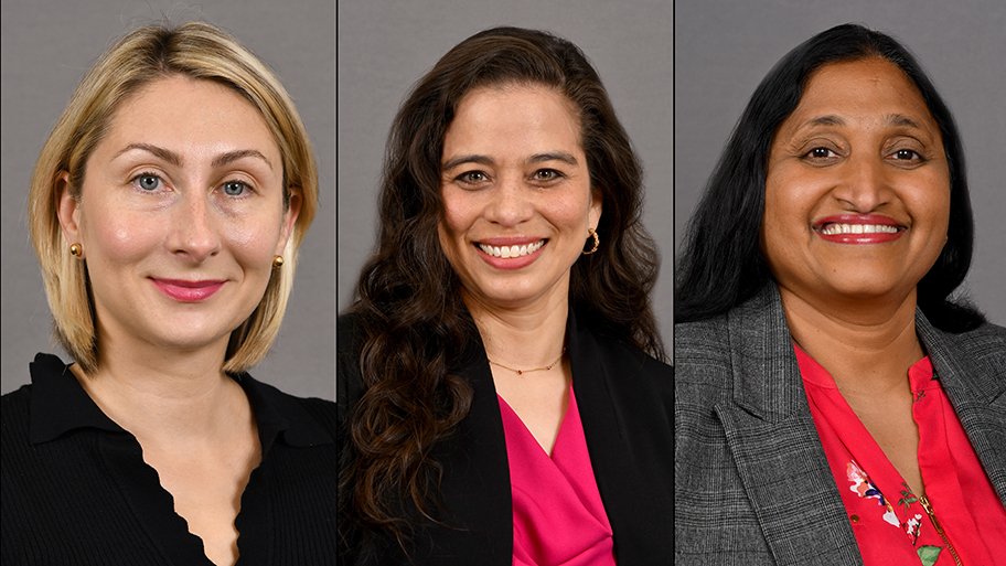 Maja Djukic, Daphne Hernandez, and Padmavathy Ramaswamy
