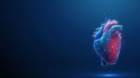 Heart illustration by Getty Images