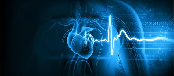 A heart image showing heart rhythms from Getty images.