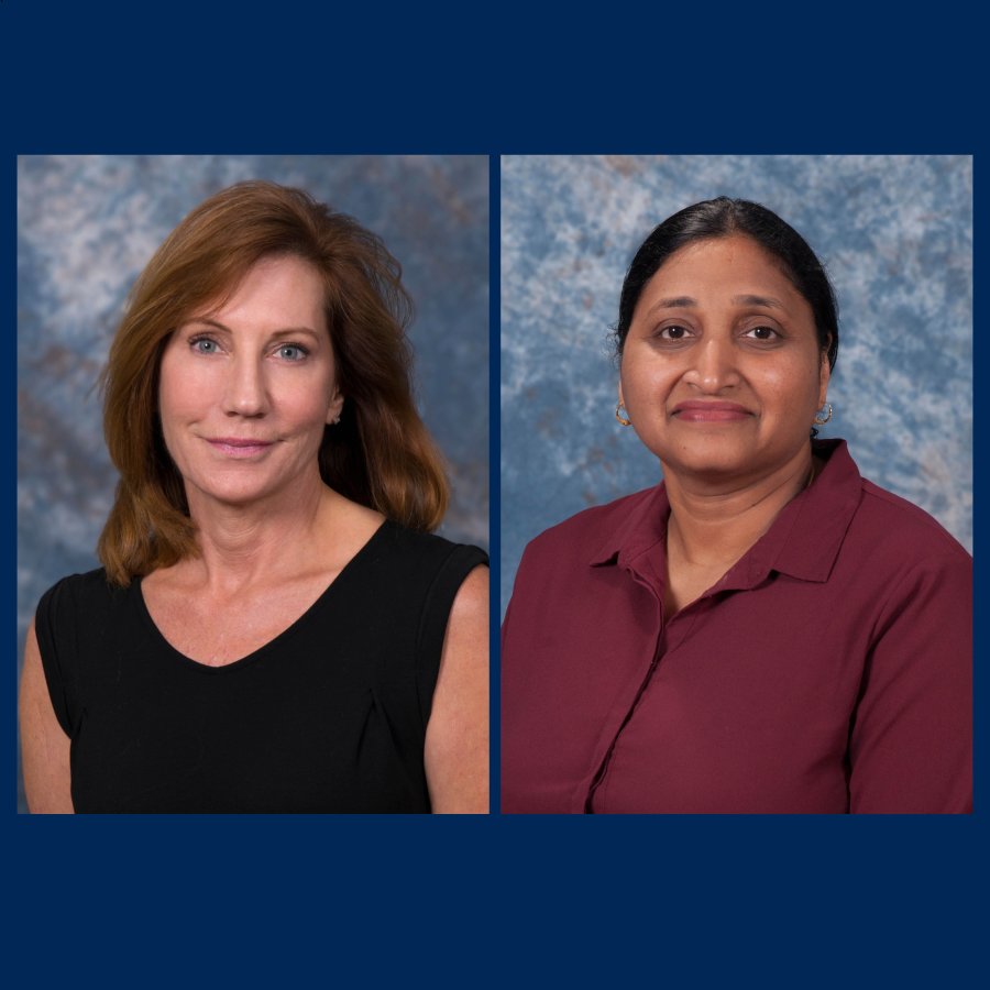 Rebecca Tsusaki, PhD, APRN, WHNP-BC, IBCLC, and Padmavathy Ramaswamy, PhD, MSN, MPH, FNP-C.