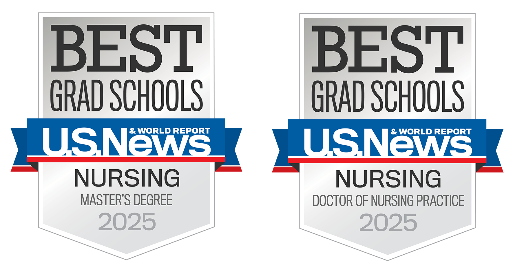 Msn-dnp-badges.png